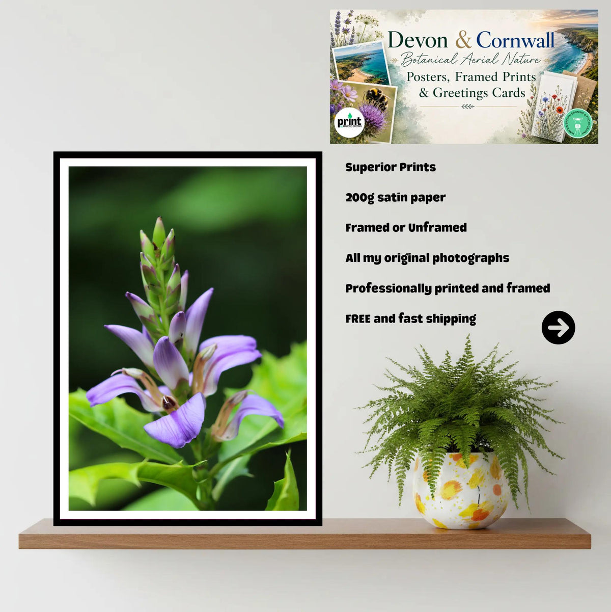 Purple tropical bloom at Eden Project Cornwall — Wall Art, Photography Print