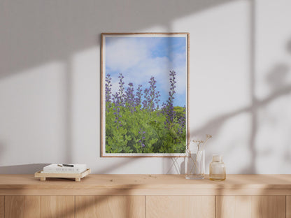 Purple Lupin Flower Poster, Blue Wild Lupin Garden Print, Botanical Wall Art, Floral Nature Photography, Summer Garden Decor
