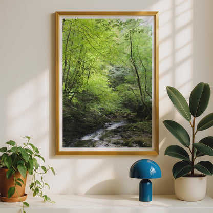 Forest Stream Poster - image 2