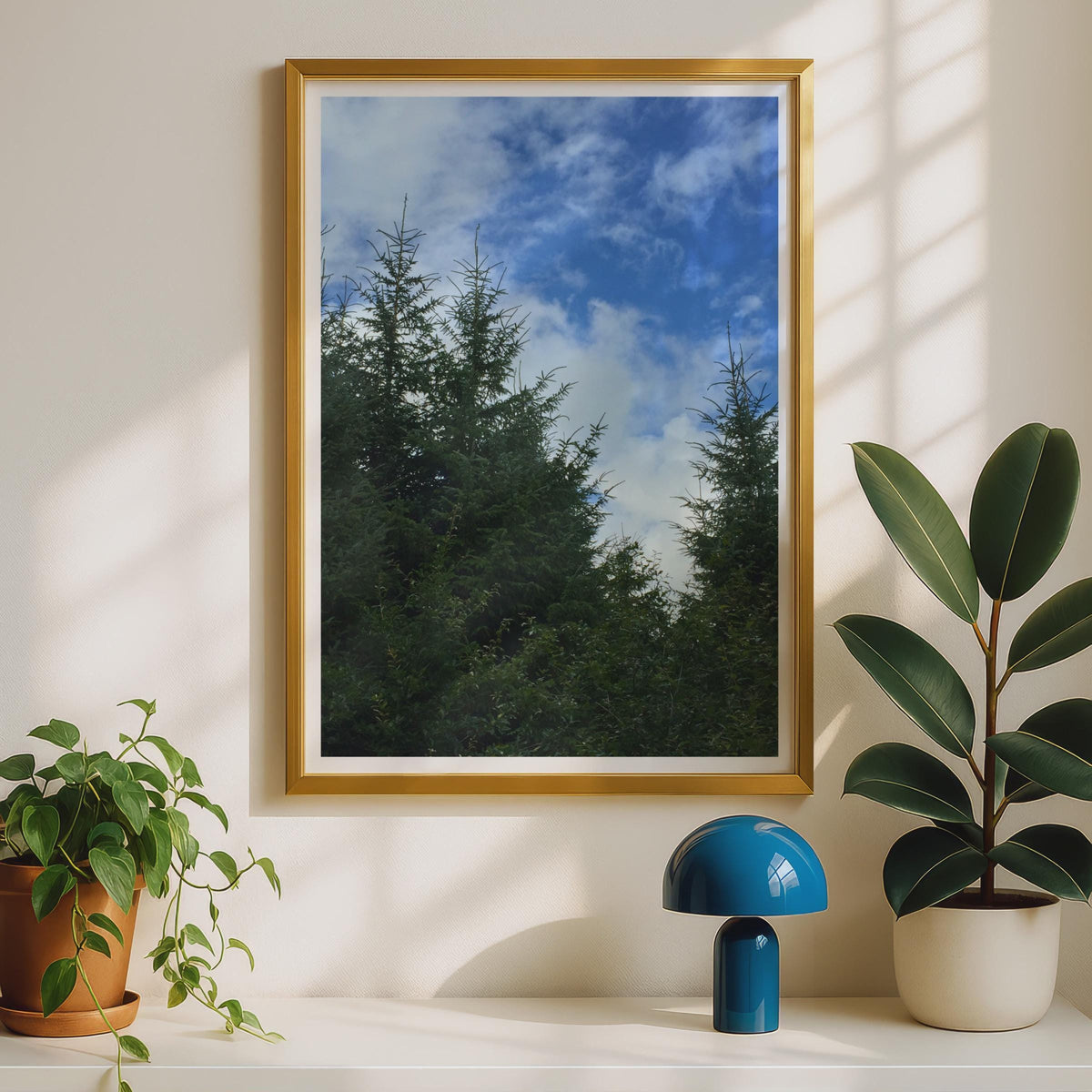 Evergreen Trees Blue Sky Poster - image 2