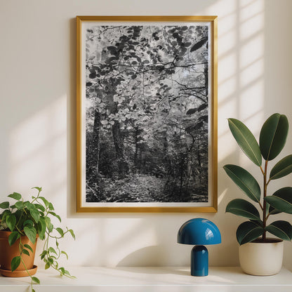Black and White Forest Photography Print - image 2