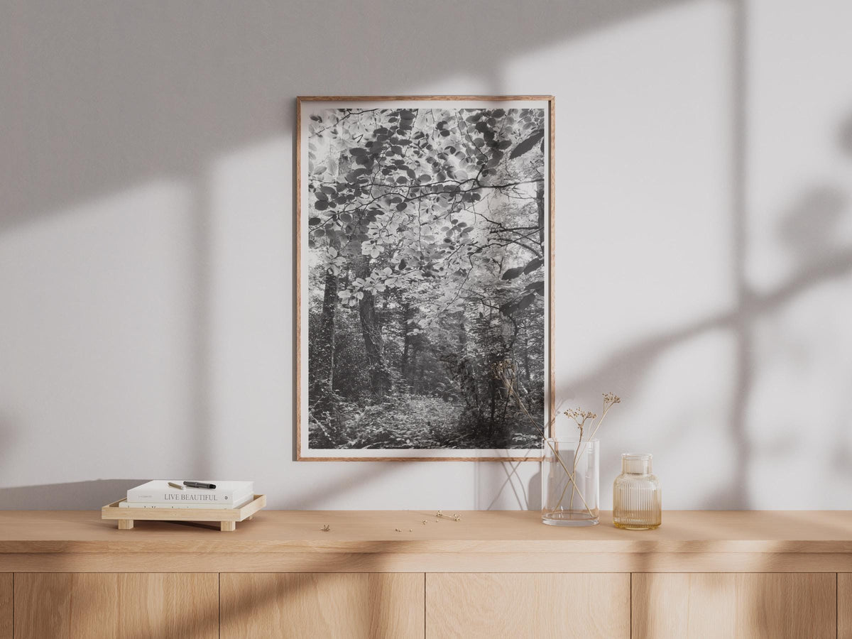 Black and White Forest Photography Print - image 4