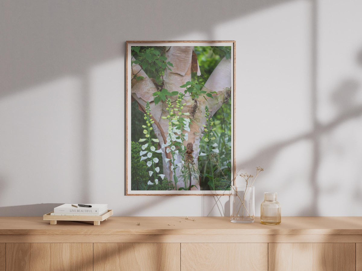 White Foxglove Flower Print, Birch Tree Bark Botanical Poster, Garden Wall Art, Nature Photography, Green Woodland Floral Home Decor