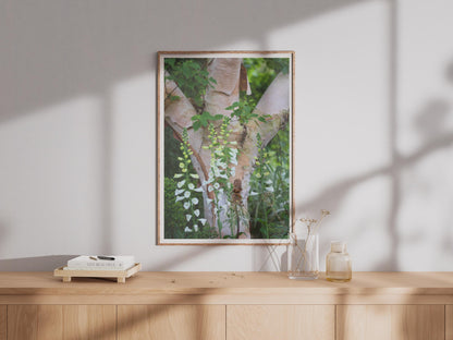 White Foxglove Flower Print, Birch Tree Bark Botanical Poster, Garden Wall Art, Nature Photography, Green Woodland Floral Home Decor