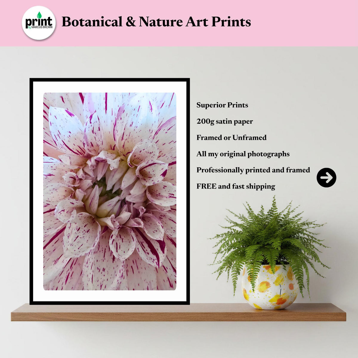 Speckled Dahlia Print | Macro Flower Photography, Botanical Wall Art, Cottagecore Decor