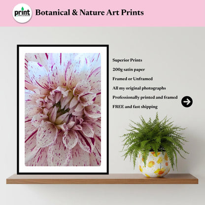 Speckled Dahlia Print | Macro Flower Photography, Botanical Wall Art, Cottagecore Decor
