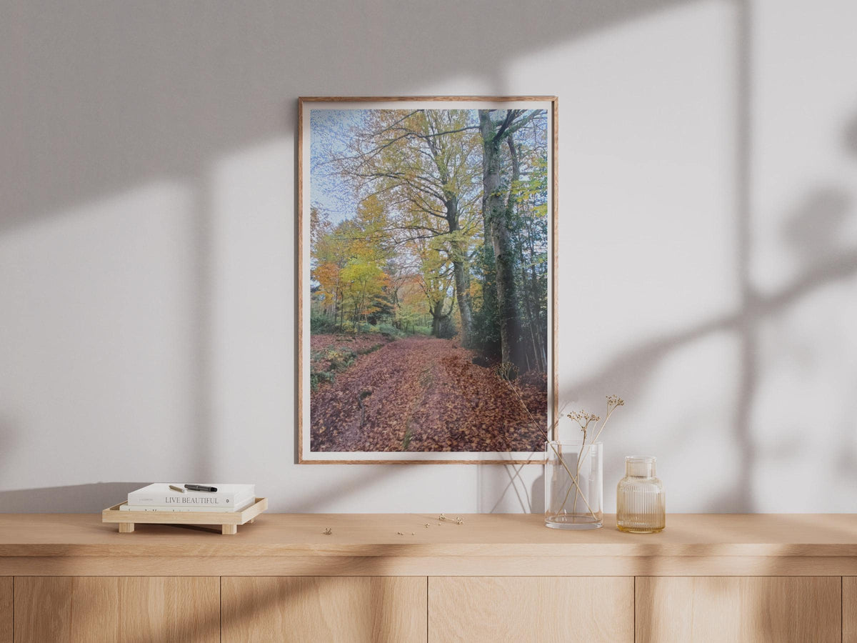 Autumn Forest Path Poster - image 4