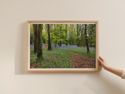 Bluebell Wood Poster, Spring Forest Landscape Framed-Print, Purple Wildflower Trees Wall Art, British Woodland Nature Photography Print