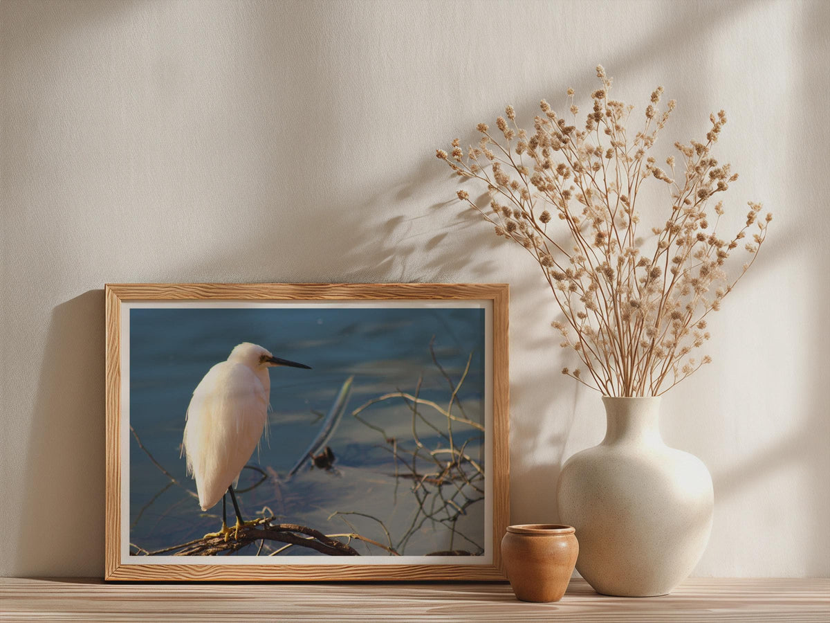 Little Egret Poster, White Heron Bird Wall Art, Wildlife Photography Print, Waterside Nature Framed-Print, Blue Water Bird Decor