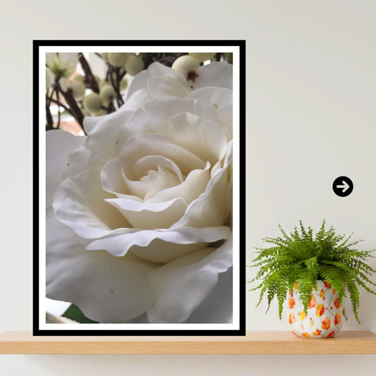 White Rose Photography Print: Elegant Botanical Wall Art, Neutral Floral Decor Poster