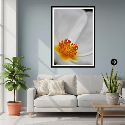 White Anemone Macro Print, Minimalist Botanical Photography, Elegant Floral Decor