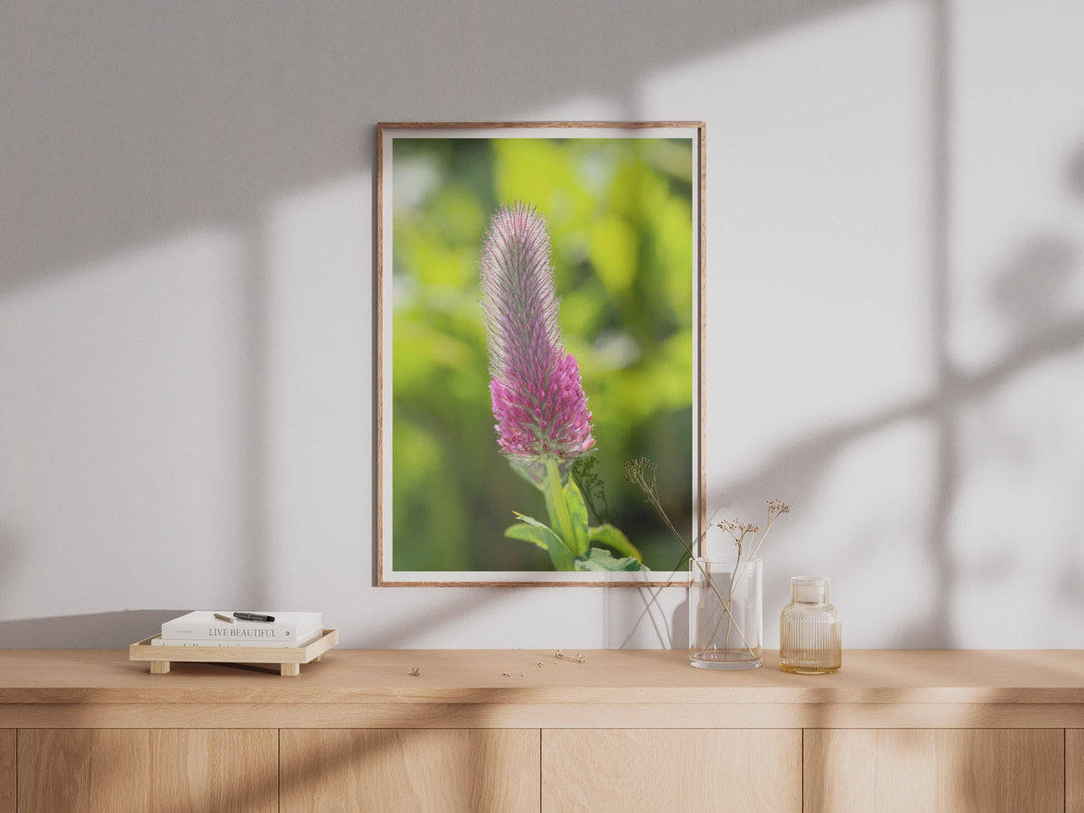 Crimson Clover Flower Photo Print, Pink Wildflower Poster, Botanical Wall Art, Close Up Nature Photography, Green Garden Decor Print