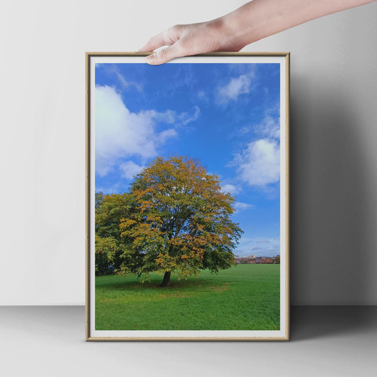 Autumn Tree Poster, Solitary Tree Wall Art, Green Meadow Print, Blue Sky Nature Photography, Golden Leaves Landscape Poster for Living Room