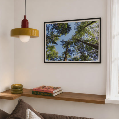 Forest Canopy Looking Up Poster - image 2
