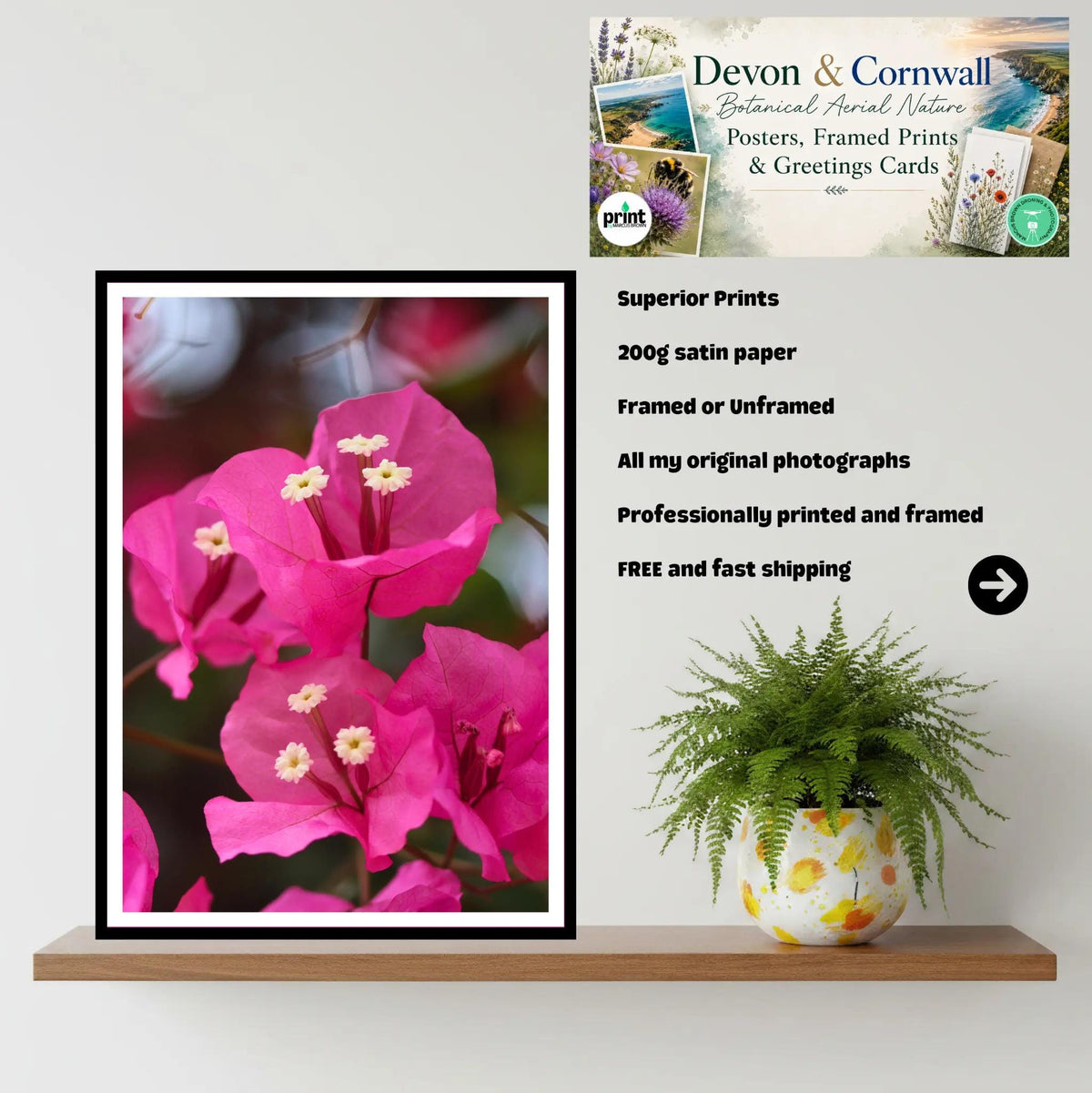 Pink Bougainvillea Close-Up — Eden Project Cornwall Wall Art Photography Print