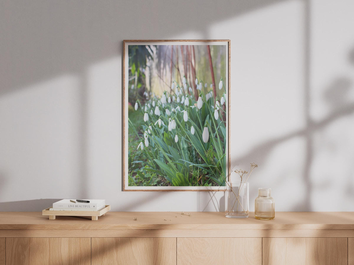 Snowdrop Flower Poster, White Spring Flowers Photography Print, Garden Wall Art, Botanical Photo, Nature Lover Gift, Green and White Decor