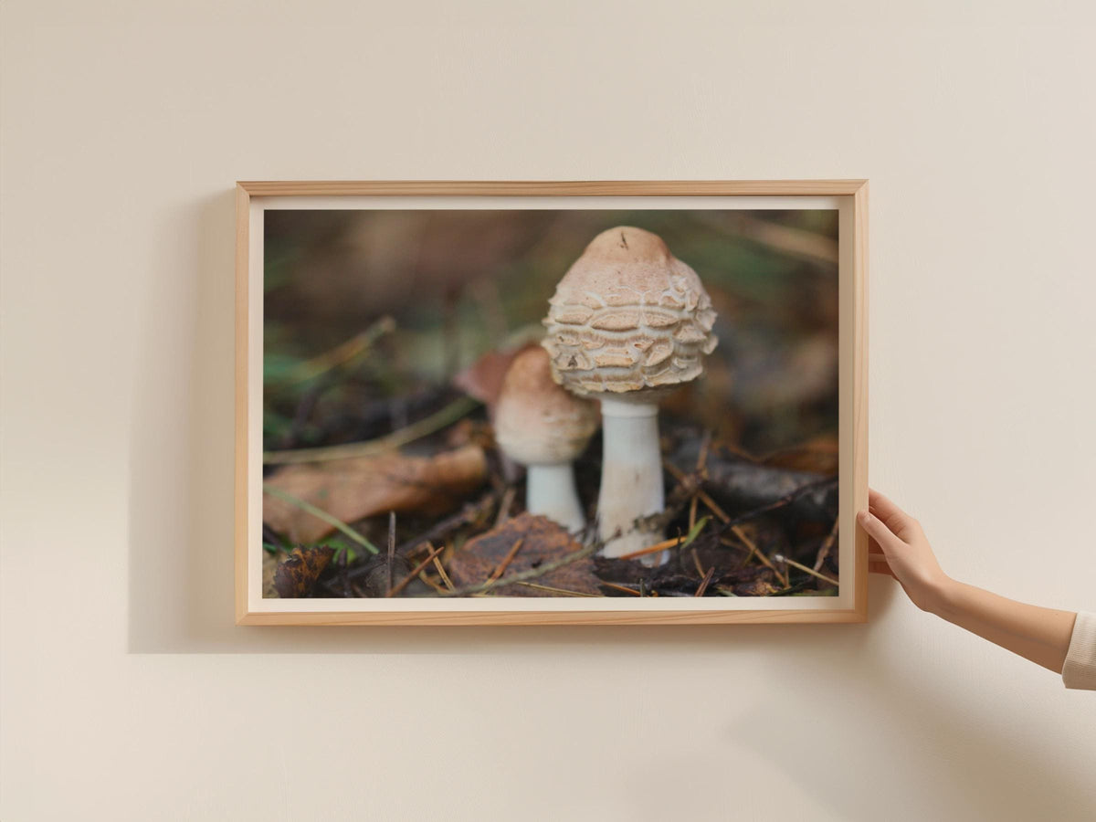 Fungi Photography Poster, Woodland Mushroom Framed-Print, Autumn Forest Floor Wall Art, Nature Macro Print, Brown Earthy Botanical Decor