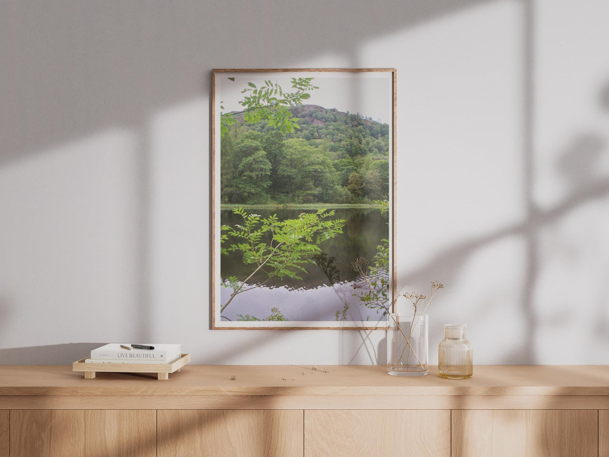 Forest Lake Reflection Poster - image 4