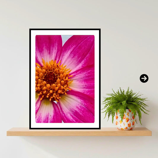 Pink Dahlia Macro Print | Vibrant Botanical Wall Art, Cottagecore Decor