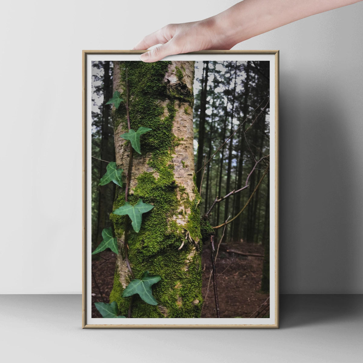 Moss Covered Tree Trunk Forest Poster, Ivy Leaves Nature Photography Print, Green Woodland Wall Art, Rustic Botanical Home Decor Gift