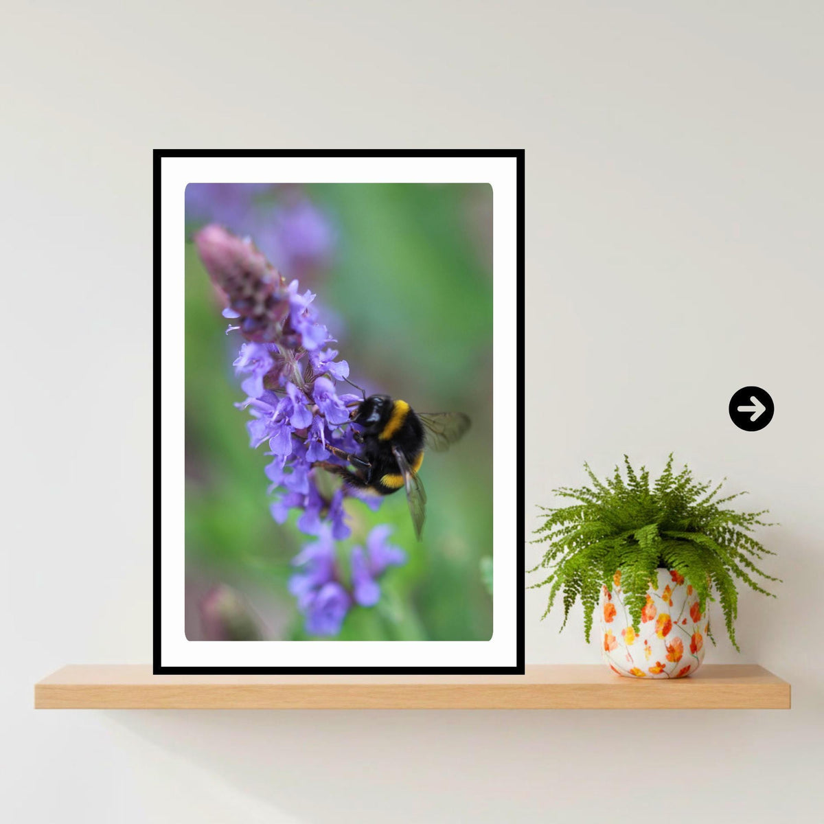 Macro Bumblebee Lavender Print | Botanical Nature Photography, Cottagecore Decor