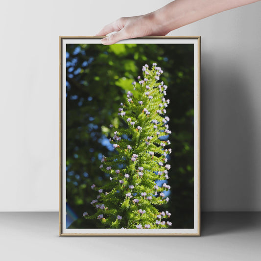 Flowering Botanical Spike Print, Green Plant Wall Art, Nature Photography Poster, Pink Blossom Garden Decor, Botanical Close Up Photo