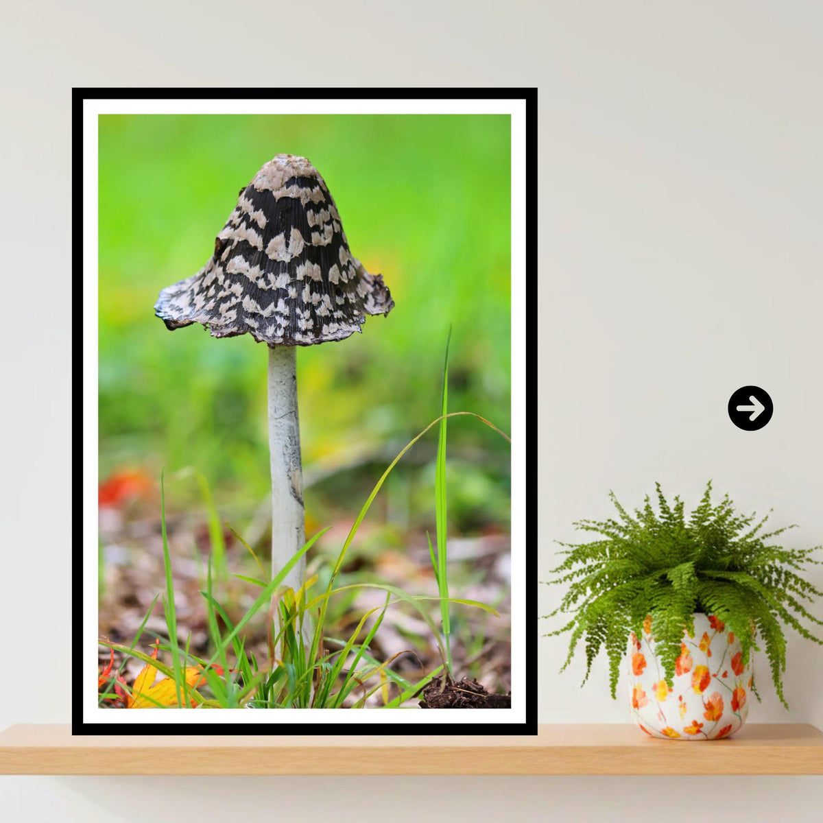 Magpie Inkcap Fungi Print Art, Mushroom Nature Photography, Woodland Fungi Decor, Archival Botanical Poster, FSC Certified Mycology Wall Art