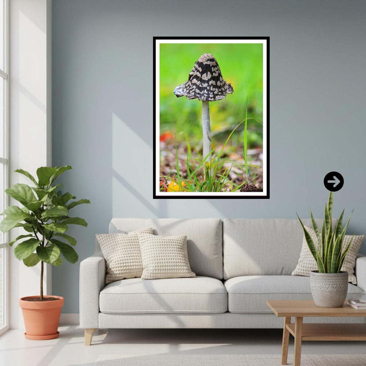 Magpie Inkcap Fungi Print Art, Mushroom Nature Photography, Woodland Fungi Decor, Archival Botanical Poster, FSC Certified Mycology Wall Art
