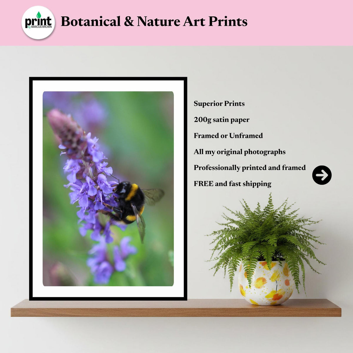 Macro Bumblebee Lavender Print | Botanical Nature Photography, Cottagecore Decor