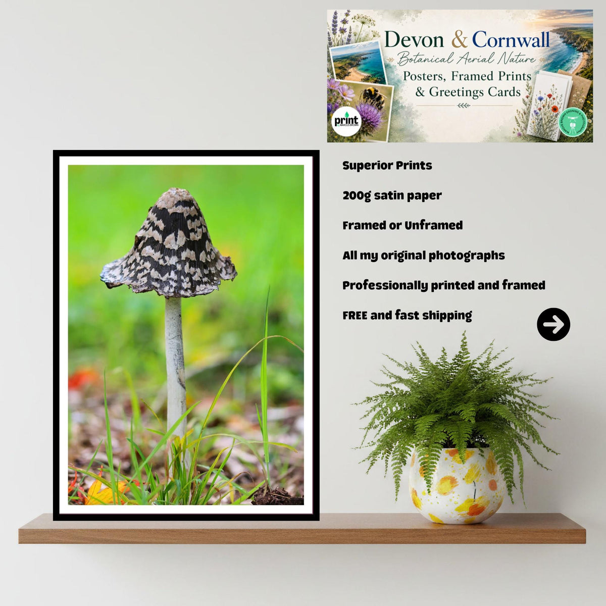 Magpie Inkcap Fungi Print Art, Mushroom Nature Photography, Woodland Fungi Decor, Archival Botanical Poster, FSC Certified Mycology Wall Art