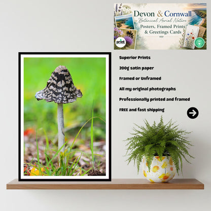 Magpie Inkcap Fungi Print Art, Mushroom Nature Photography, Woodland Fungi Decor, Archival Botanical Poster, FSC Certified Mycology Wall Art