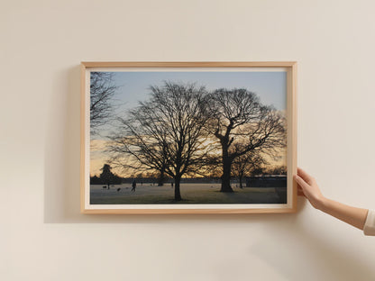 Winter Trees Silhouette Poster, Sunrise Park Landscape Framed-Print, Bare Trees Wall Art, Golden Sky Nature Print, British Countryside Decor