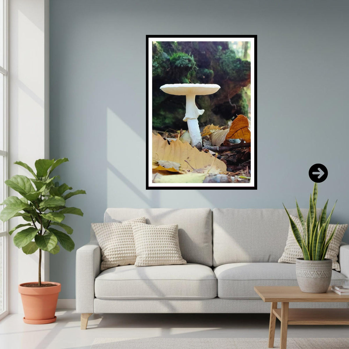 Destroying Angel Fungi Print Art, Botanical Mushroom Wall Decor, Nature Photography, Woodland and Mycology Artwork, Archival Paper
