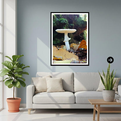 Destroying Angel Fungi Print Art, Botanical Mushroom Wall Decor, Nature Photography, Woodland and Mycology Artwork, Archival Paper