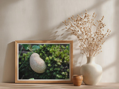 Puffball Mushroom Poster mockup - Neutral_Mockup_Studio_509