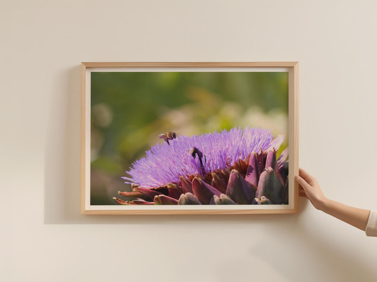 Artichoke Flower Bee Poster, Purple Botanical Framed-Print, Garden Wildlife Wall Art, Macro Nature Photography Print, Green Bokeh Decor