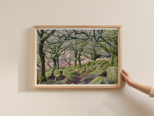 Ancient Mossy Oak Woodland Poster, Dartmoor Forest Framed-Print, Green Nature Wall Art, Twisted Trees Landscape Photography Print