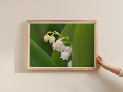 Lily of the Valley Poster, White Bell Flower Framed-Print, Botanical Wall Art, Spring Floral Photography, Green Nature Print for Home