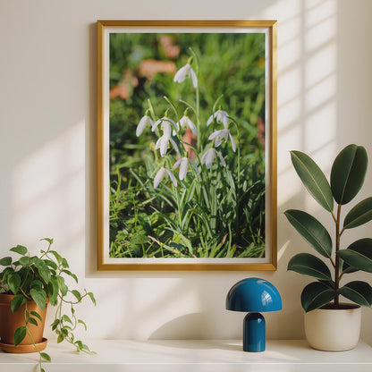 Snowdrop Flower Photography Print, White Spring Flowers Poster, Botanical Wall Art, Nature Photo Print, Garden Floral Decor, Green and White