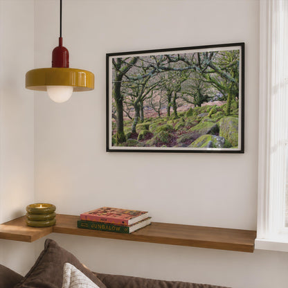 Ancient Mossy Oak Woodland Poster - image 2