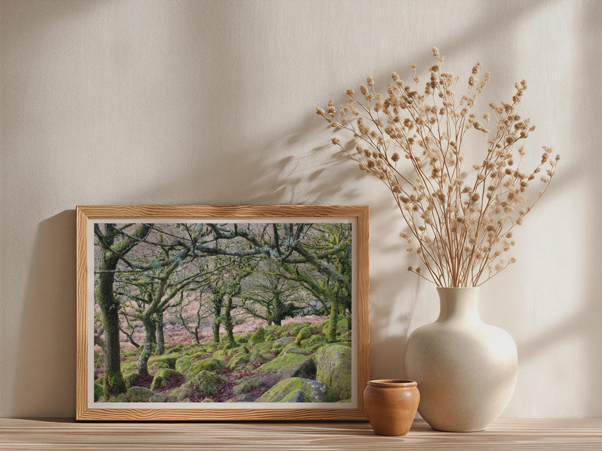 Ancient Mossy Oak Woodland Poster - image 3