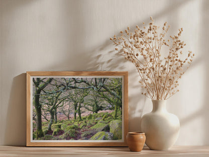 Ancient Mossy Oak Woodland Poster - image 3