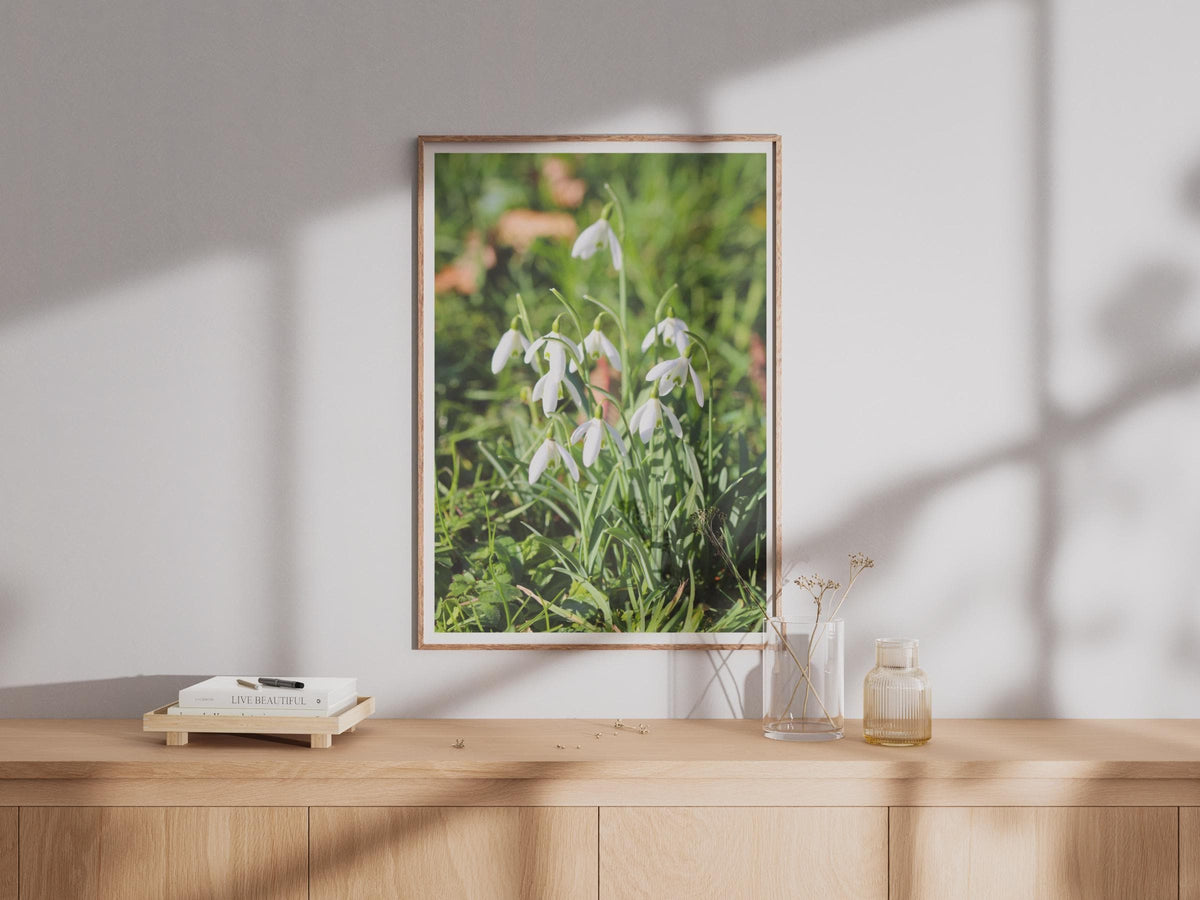 Snowdrop Flower Photography Print, White Spring Flowers Poster, Botanical Wall Art, Nature Photo Print, Garden Floral Decor, Green and White