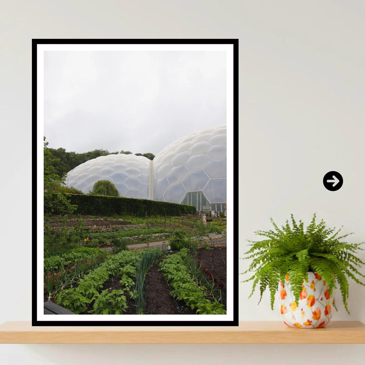 Eden Project Biomes with Kitchen Garden, Cornwall — Wall Art Photography Print