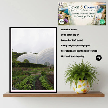 Eden Project Biomes with Kitchen Garden, Cornwall — Wall Art Photography Print