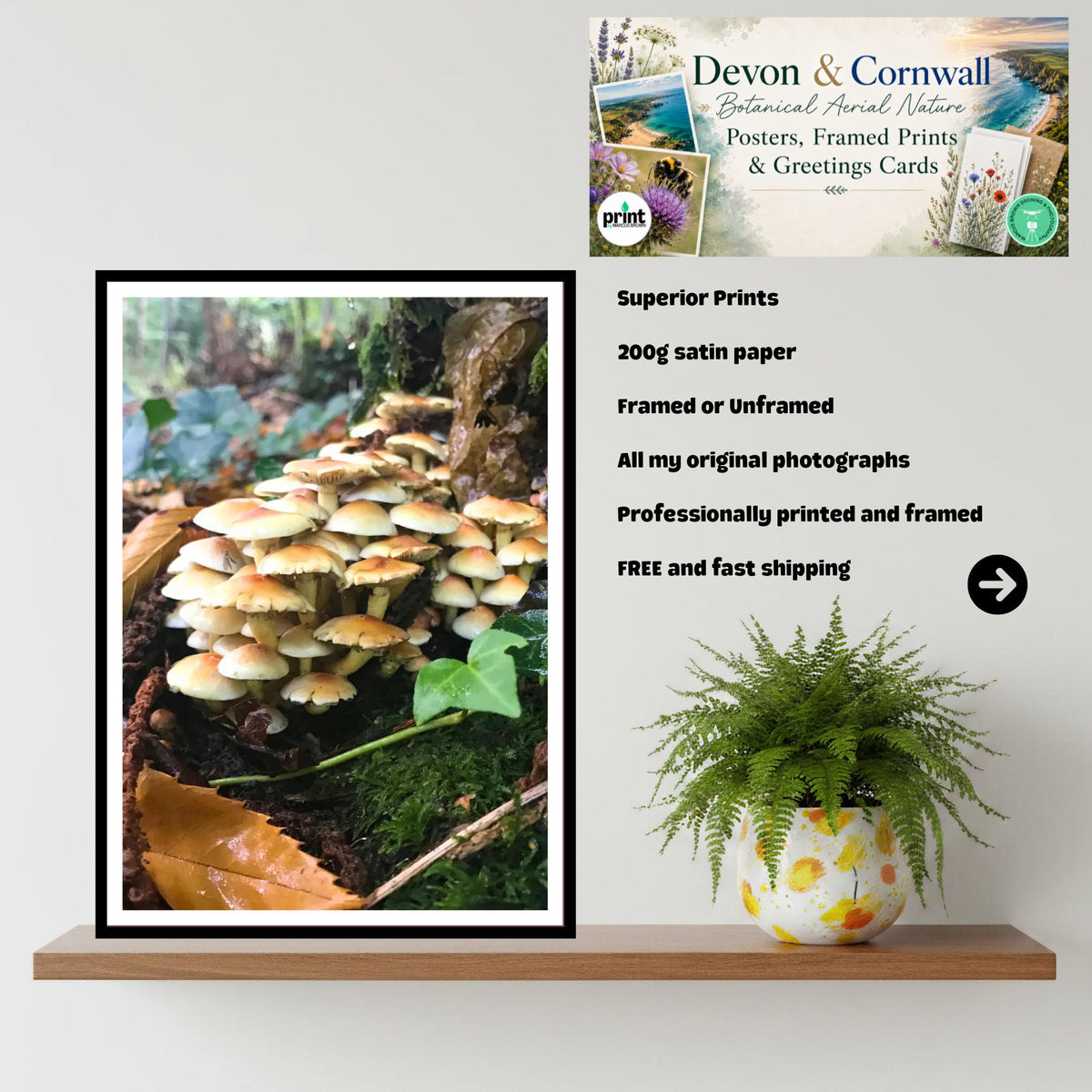 Sulphur Tuft Fungi Print Art, Mushroom Nature Photography, Woodland Decor, Botanical and Fungi Collection, Archival FSC Certified Poster