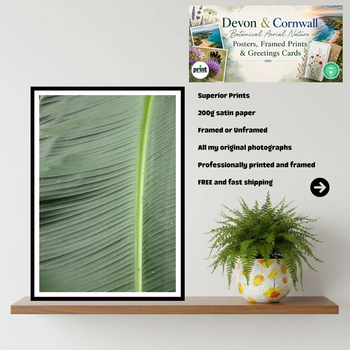 Banana leaf close-up | Eden Project Cornwall Wall Art Photography Print