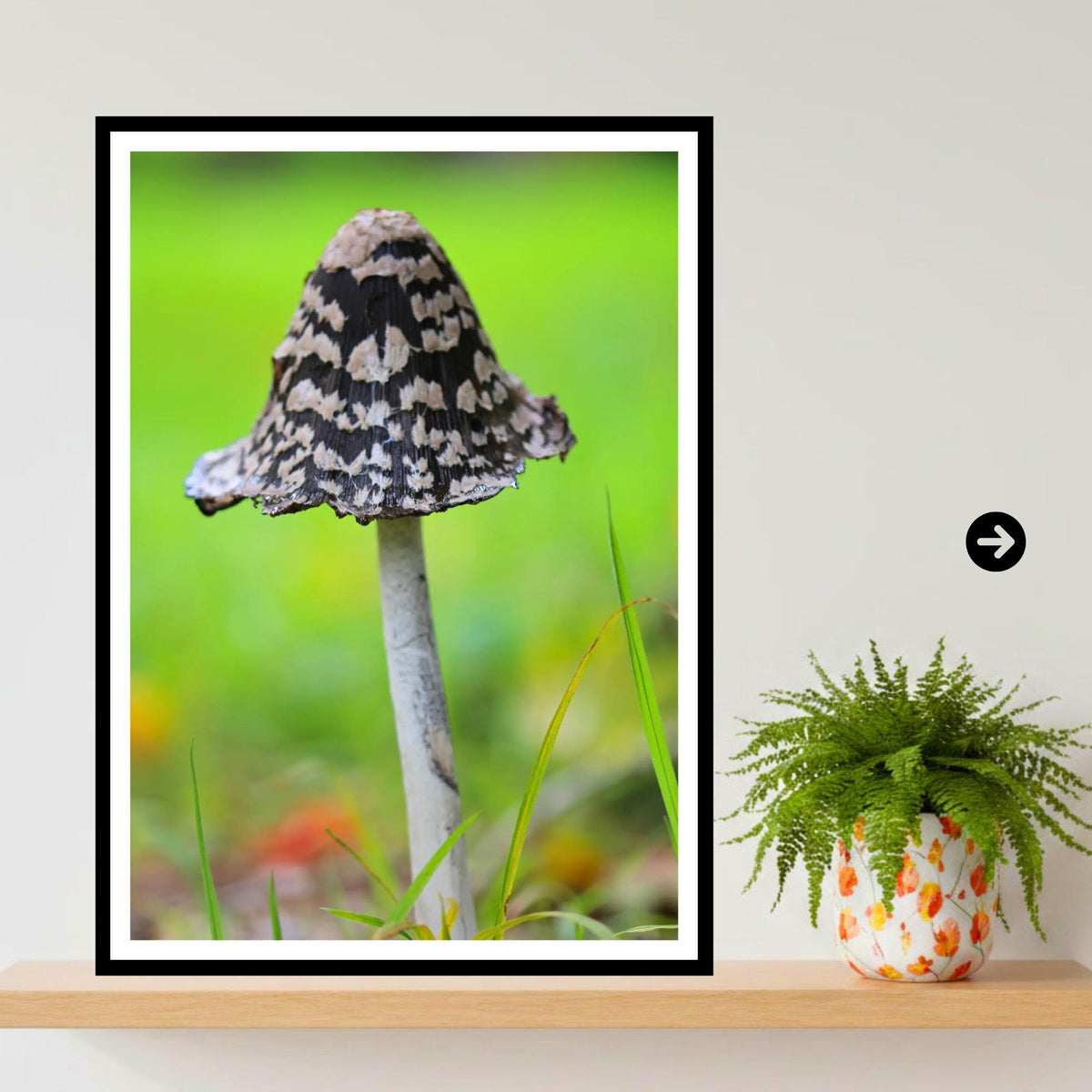 Shaggy Ink Cap Fungi Print | Mushroom Art, Woodland Decor, Nature Photography, Archival Paper, FSC Certified, Fungi Collection