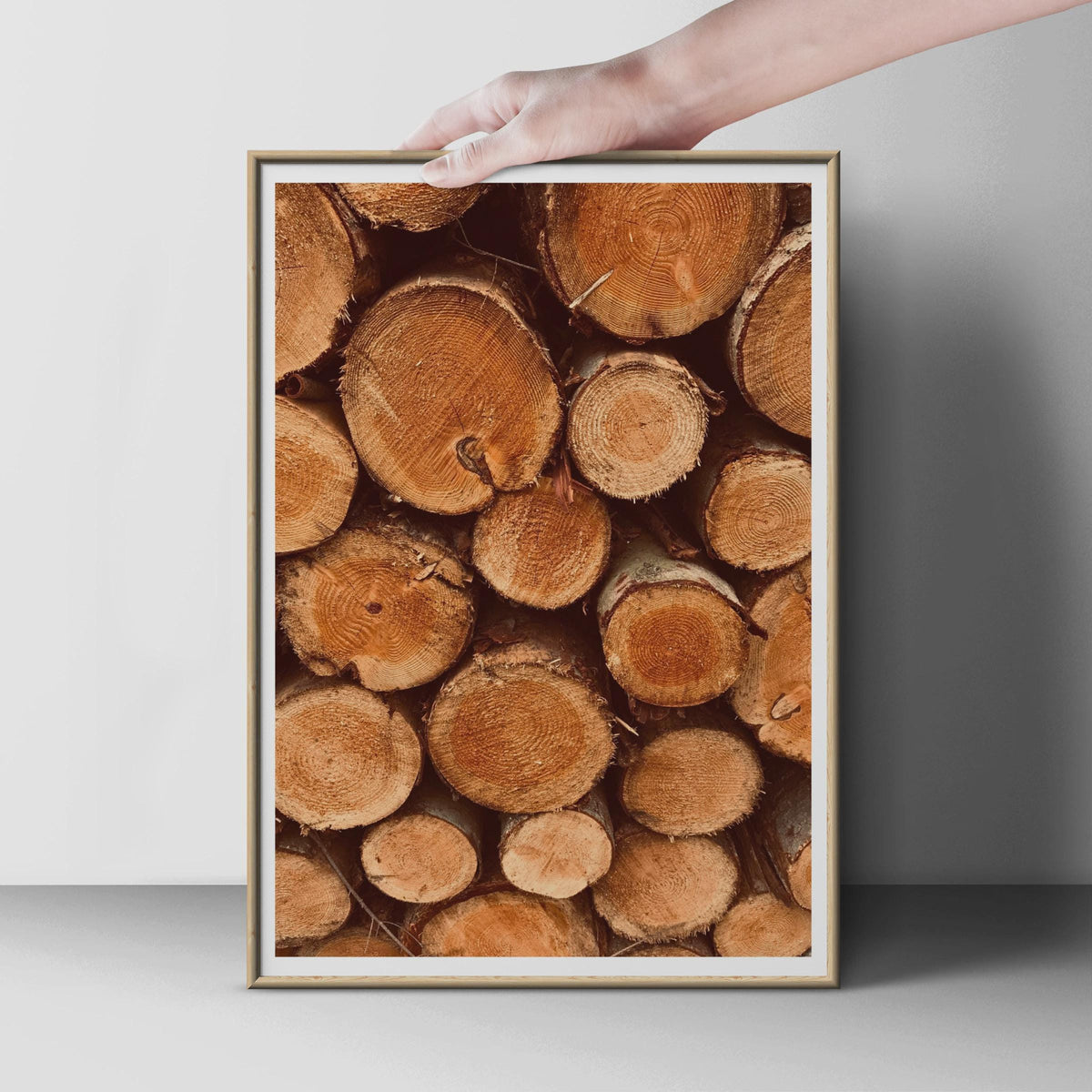 Stacked Logs Wall Art, Tree Rings Photography Print, Rustic Wood Poster, Forest Nature Print, Warm Brown Woodland Home Decor, Cabin Gift