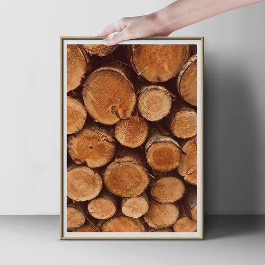 Stacked Logs Wall Art, Tree Rings Photography Print, Rustic Wood Poster, Forest Nature Print, Warm Brown Woodland Home Decor, Cabin Gift